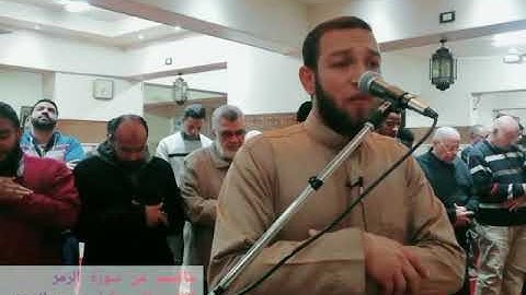 ما تيسر من سورة | الزمر 2 | القارئ ايمن عبد الرحمن | تلاوة خاشعة