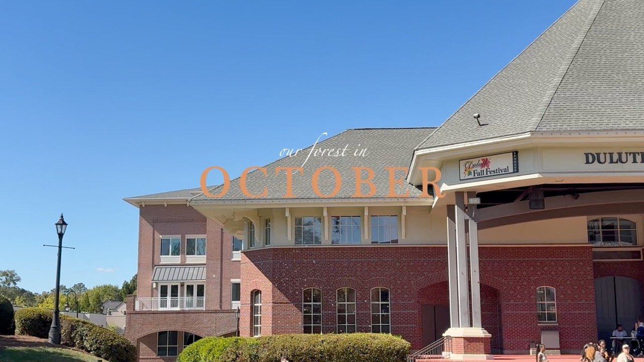 Our Forest in OCTOBER | 10월 숲속 이야기