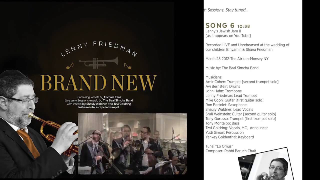 Lenny Friedman Brand New Album - Preview Sampler - MRMmusic