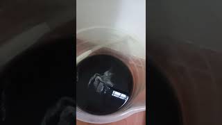Petek Temizleme Paralar Cepte Kalsin .Temizledin Iste