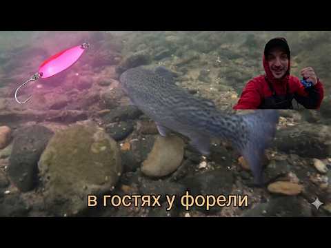 Voice of Water: Trout Fishing in the Wilderness
