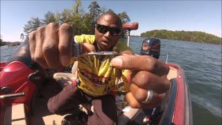 Strike King Bitsy Bug Jig - How I set it up and Catch fish!