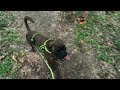 Zara au bois des sources à Pessac avec Salto