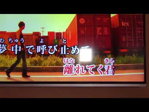 歌ってみました　「奏」　スキマスイッチ