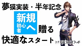 【ドラブラ】効率よく進める為の１３の事柄ー今が始め時のドラブラ新規・初心者向け快適スタート！【コード：ドラゴンブラッド】