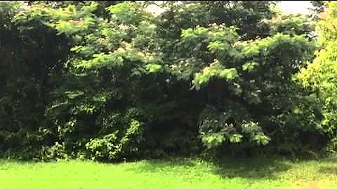 BACK TO SENDER PRAYERS: " WITCHES HATE THIS KIND OF PRAYERS"