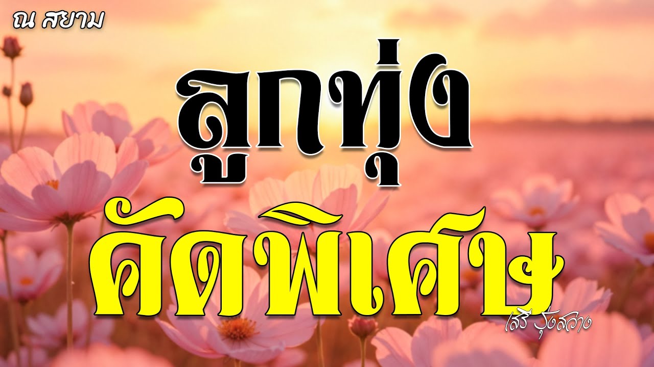 ลูกทุ่งคัดพิเศษ | เสรี รุ่งสว่าง | #เรียกพี่ได้ไหม #โรคแพ้ความสวย #นางฟ้าสีขาว