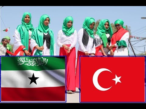 Somaliland oo ka hadashay Sababta Dowlada  Turkigu u diiday in 18 May laga Xuso Ankara