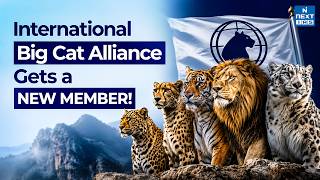 Bangladesh Joins International Big Cat Alliance (IBCA) | 27th Member Explained | UPSC | NEXT IAS