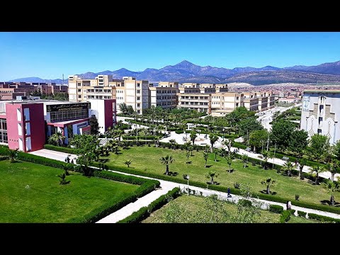 International students