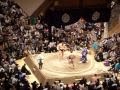 A sumo fight in Tokyo