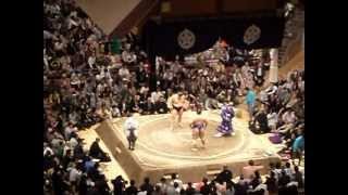 A sumo fight in Tokyo