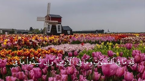 من سورة البقرة | لِّلَّهِ مَا فِي ٱلسَّمَٰوَٰتِ وَمَا فِي ٱلۡأَرۡضِۗ | ماهر المعيقلي