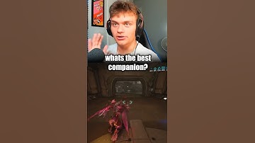 What COMPANION Do You RECOMMEND In Warframe 🤔