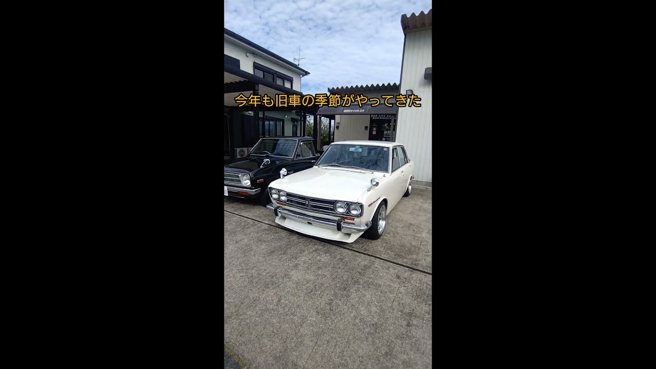 DATSUNな2台 #shorts #サニー #サニトラ #510 #ブルーバード #datsun