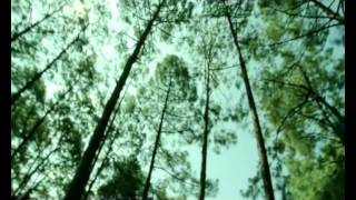 Ko Hola Tyo New Nepali Song Full HD 720p (New Release) 2012 Ko Hola Tyo New Nepali Song Full HD 720p (New Release) 2012