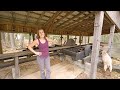 We Bought A Really Old SawMill ( And 5 More Acres!)