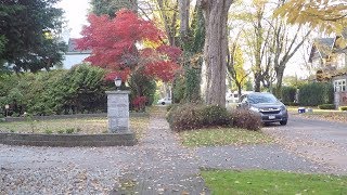 Vancouver Canada in Autumn. November 2019. Walking Around Shaughnessy Area.