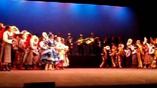 Bailable infantil en FIC 2008