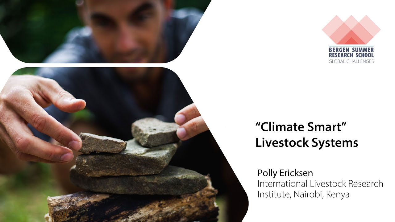 “Climate Smart” Livestock Systems