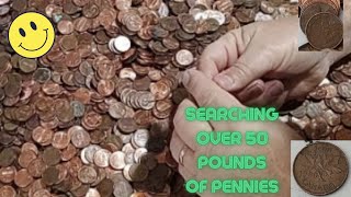 Searching 50 Pound Penny Collection for Copper Hoarding and Wheat