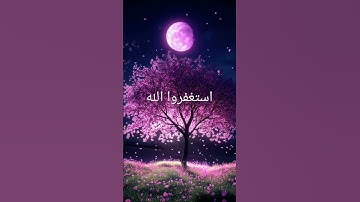 احترم القرآن الكريم وأكتب شيئا تؤجر عليه راحة للقلب #صلى_ع_النبى