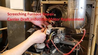 Screeching Furnace Repair - Carrier Draft Inducer Motor Replacement in 4K