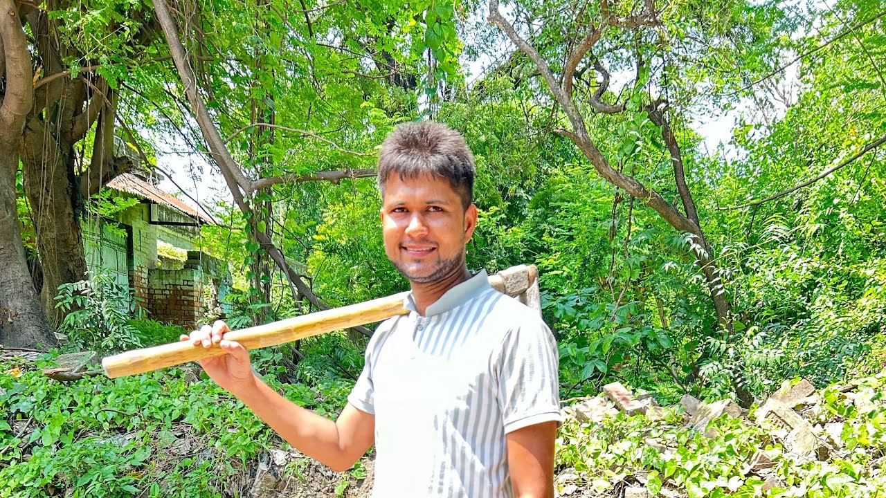 Trees plants info is live | Save Tree 🌳 online Live