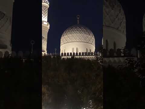 Famous Grand Mosque #jumeirah #shorts
