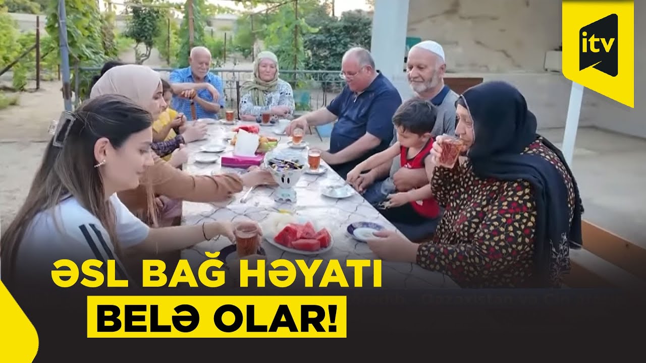 Novxanılılar üçün bağ mövsümü başladı!