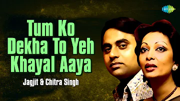 तुम को देखा तो ये ख्याल आया | Tum Ko Dekha To Yeh Khayal Aaya | Jagjit singh Ghazals | Chitra Singh