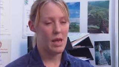 Minerals Processing Engineer