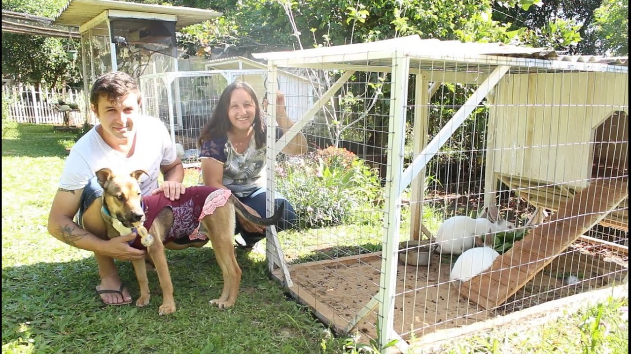 OS NOVOS COELHOS DO SÍTIO E SUAS NOVAS CASAS