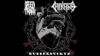 Speedtrain​/​CHIKARA​/​Rubberduckyz - 3 WAY SPLIT {2018}