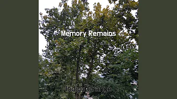 Memory Remains