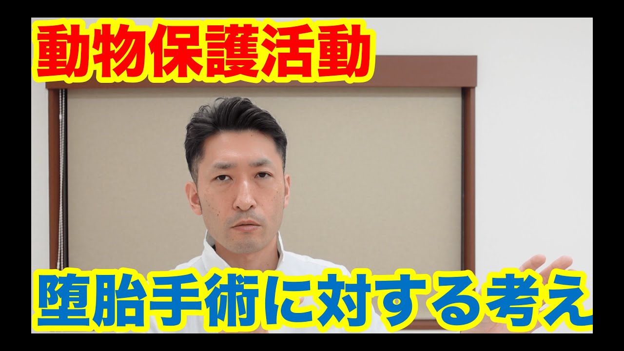 動物保護活動に対する僕の考え