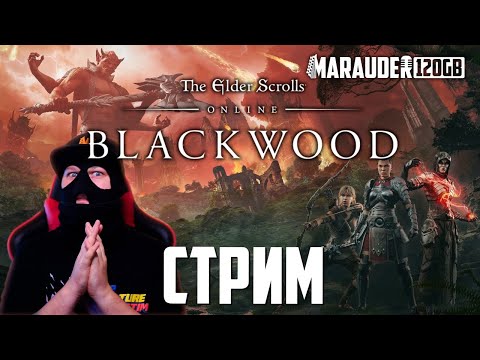 Видео: Bethesda дърпа Elder Scrolls Online RPG за настолни компютри след твърдения за плагиатство