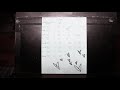 Kelsea Ballerini - needy (ballerini album version) [Official Audio]