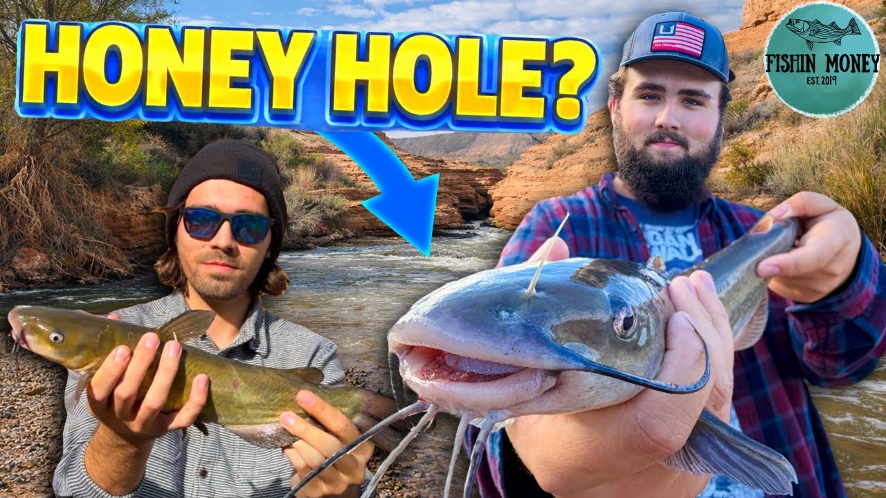 Исследуем залив Лас-Вегаса в поисках сома... Мы узнали кое-что важное о том, как найти рыбу.