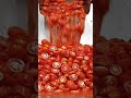 Satisfying Tomato Ketchup Factory Process  High Speed Industrial ASMR
