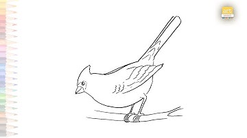 Easy Cardinal drawings | Art tutorial | How to draw A Cardinal bird step by step | #artjanag