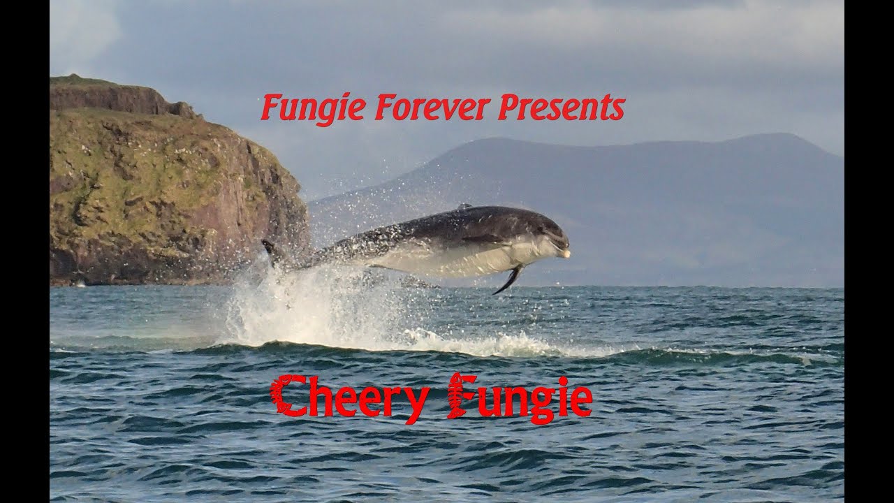 Fungie Forever - Cheery Fungie
