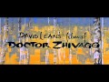 Miniature de la vidéo de la chanson Main Title From "Doctor Zhivago"