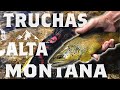 [ANGLERS] Truchas en Alta Montaña #17