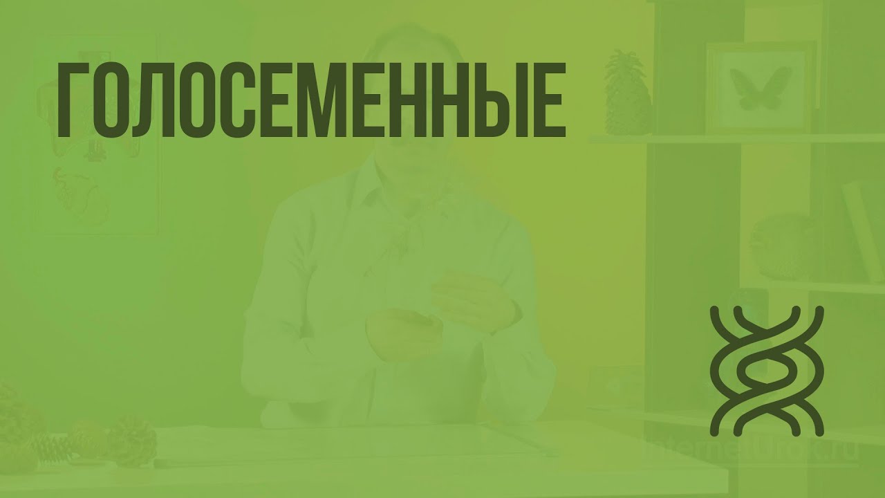 Контрольная работа по теме Голосеменные и покрытосеменные древесные растения