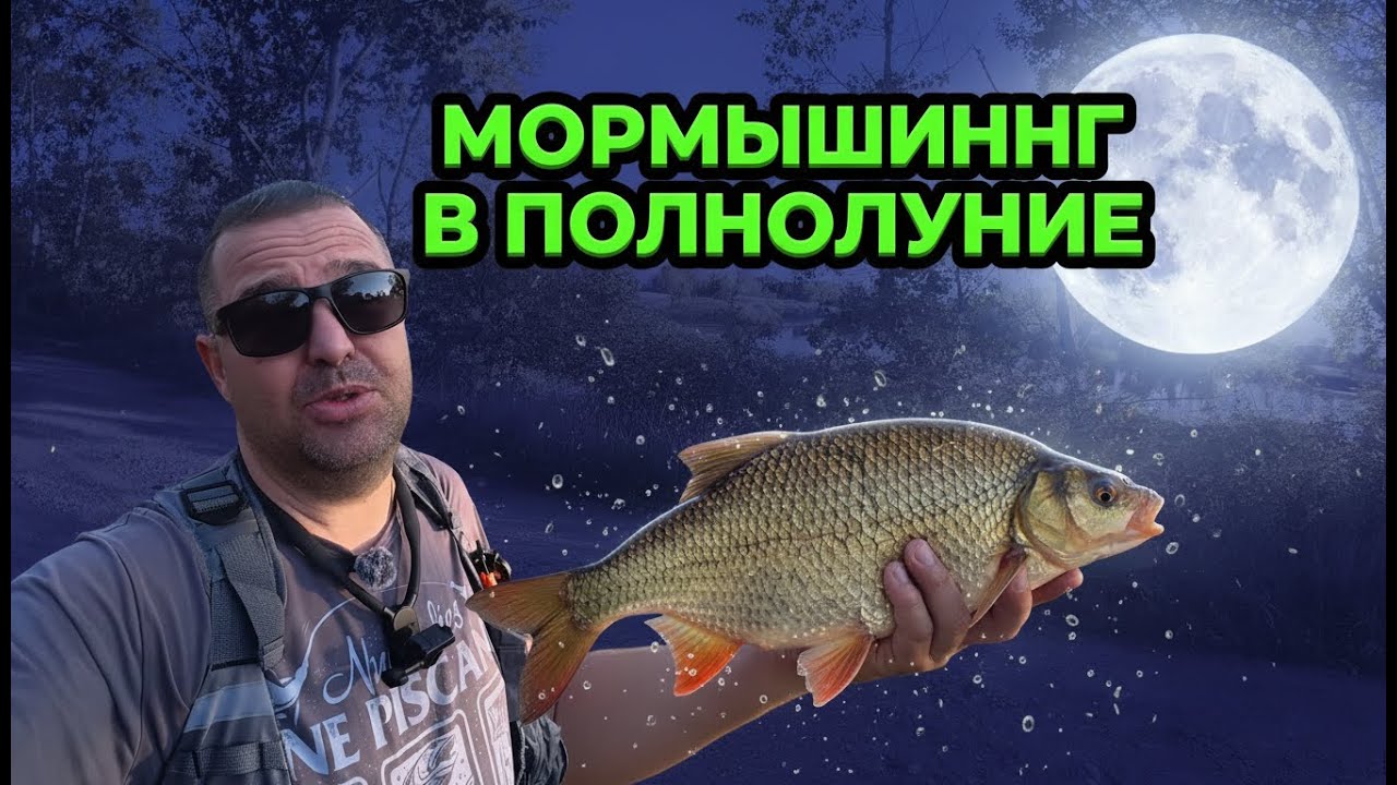Мормышинг в полнолуние: красноперки,окуни и щука. Только хардкор, ищем рыбу и на что клюёт!#рыбалка