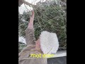 vogels eten en drinken #vogels #natuur #winter #sneeuw