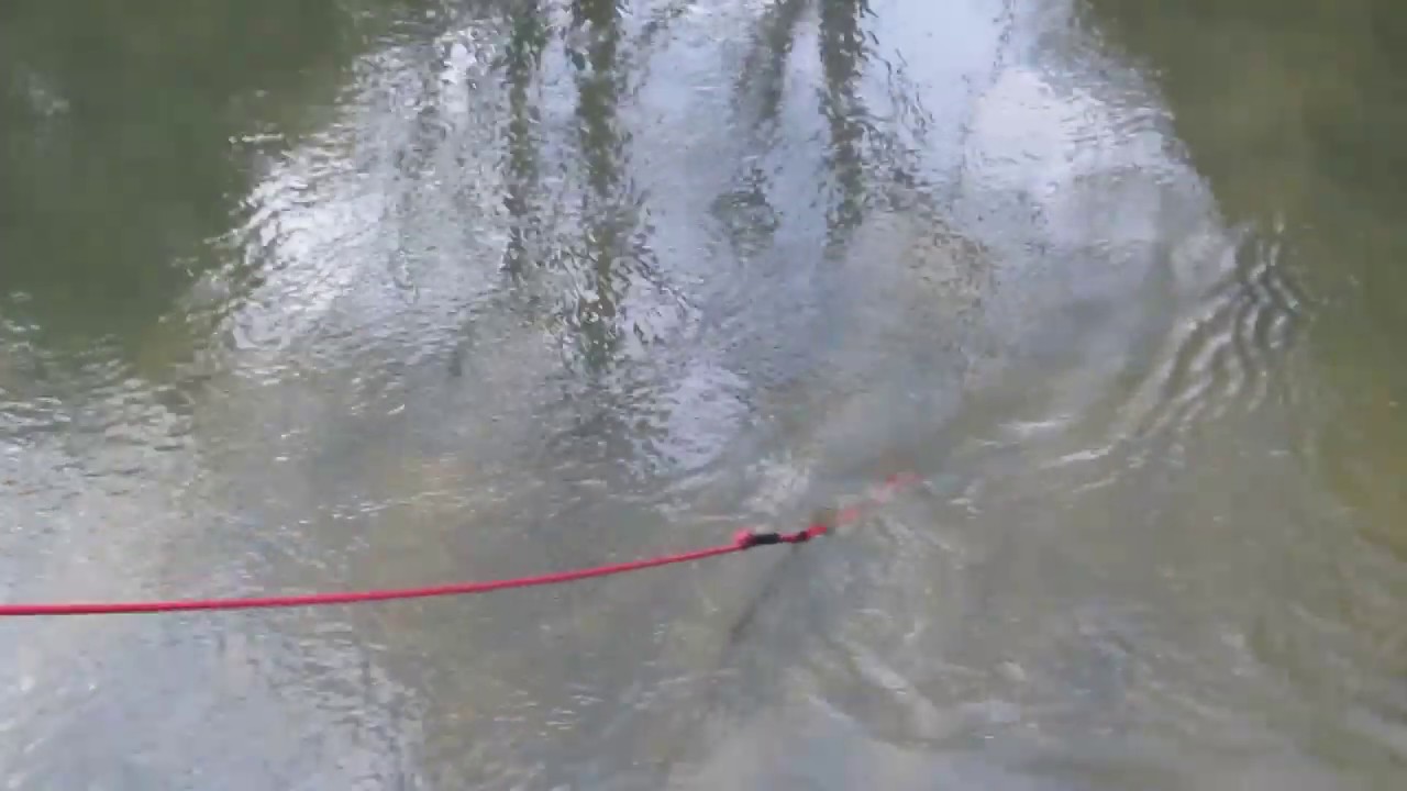 fishing a bridge UK YouTube