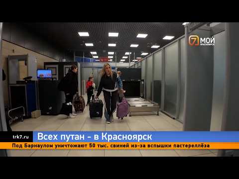Депутат Госдумы предложил отправлять «дубайских эскортниц» в Красноярский край