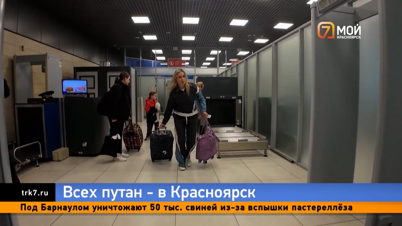 Депутат Госдумы предложил отправлять «дубайских эскортниц» в Красноярский край